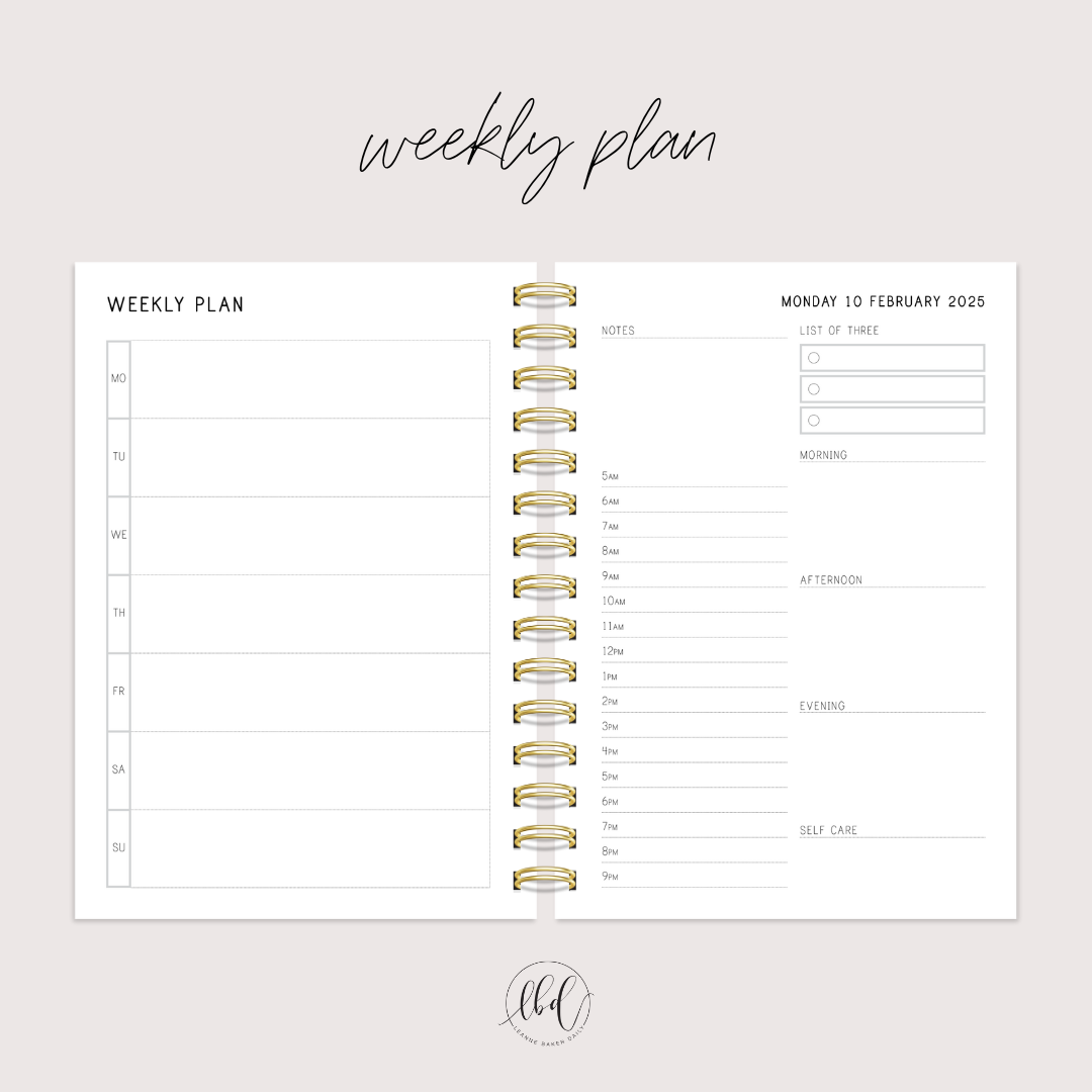 DAISY IN DOTS X 2025 DAILY SIGNATURE PLANNER